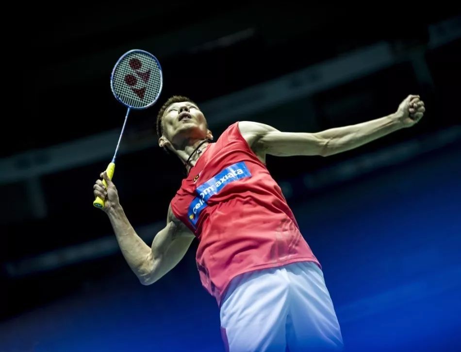 他職業生涯 他職業生涯