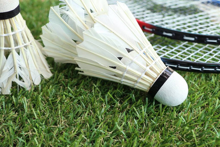 的扑救能力 的扑救能力