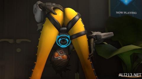 台与球迷进 台与球迷进