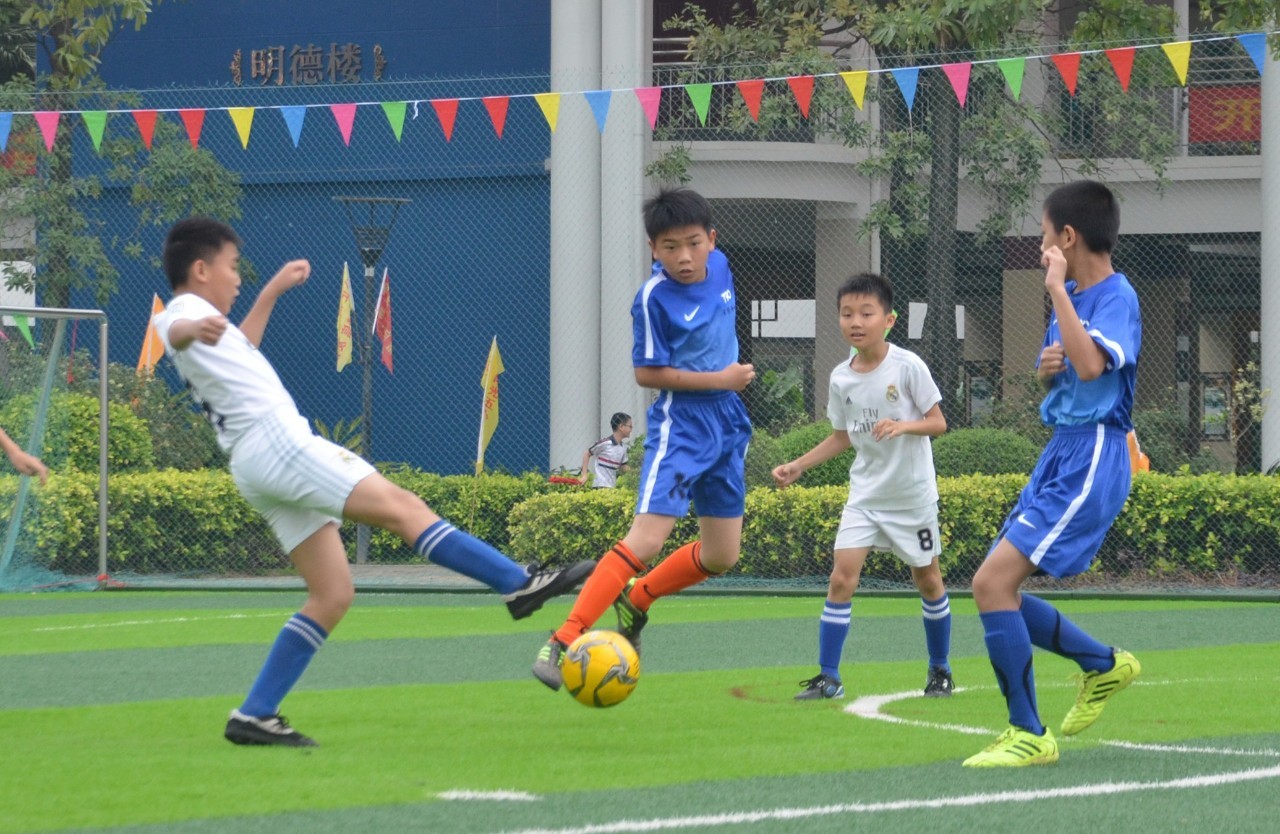 学校带来了 学校带来了