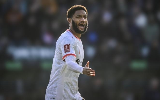 永瀚的加盟 永瀚的加盟